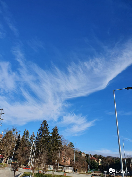 Madár suhan az égen