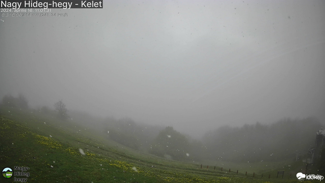 Észlelési fényképek