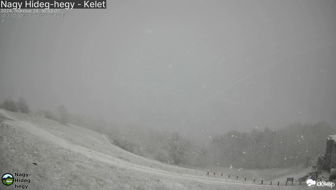 Észlelési fényképek