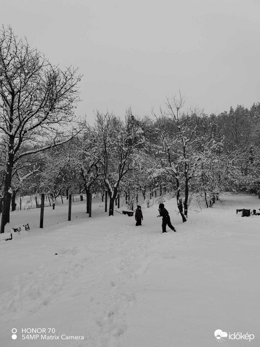 Észlelési fényképek