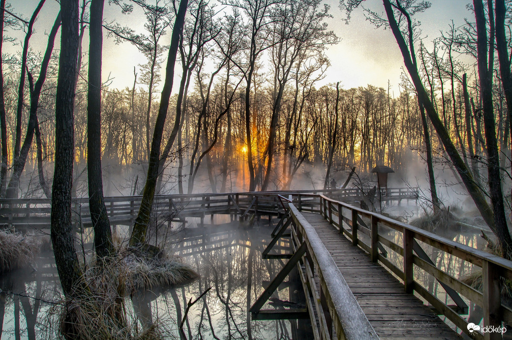 A Tatai Fényes Tanösvény
