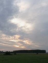Mezőpeterd