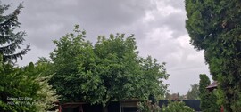 Szuhakálló