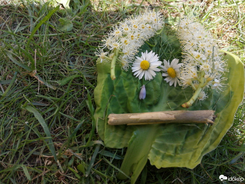 Budapest IX.ker - Ferencváros