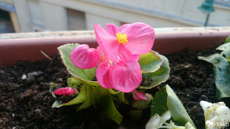 Budapest VIII.ker - Józsefváros