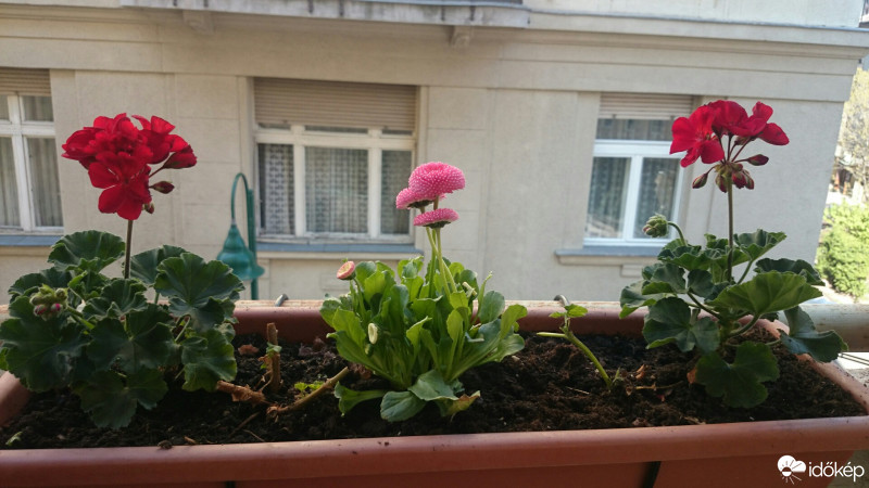 Budapest VIII.ker - Józsefváros