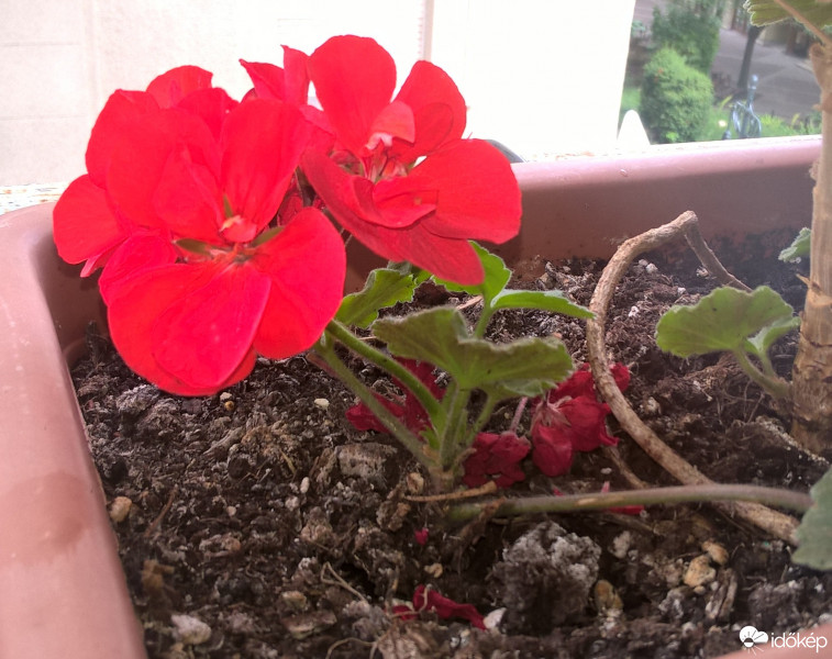 Budapest IX.ker - Ferencváros