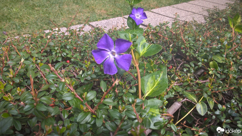 Budapest IX.ker - Ferencváros