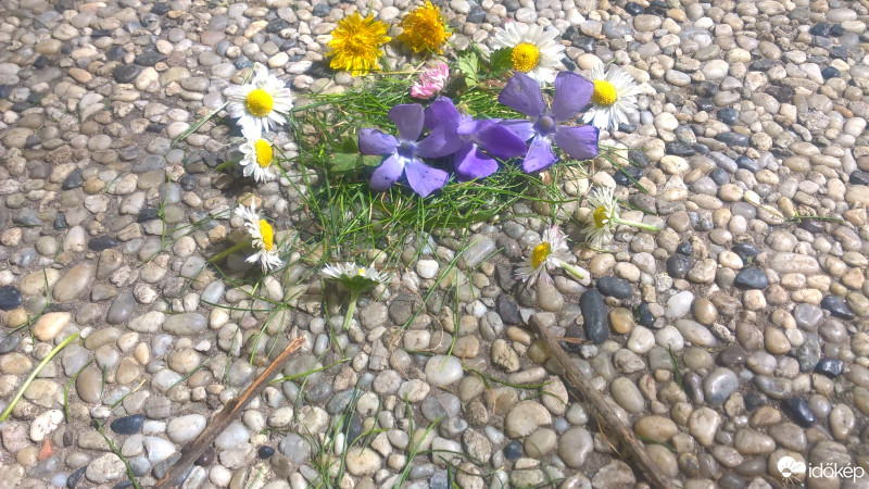 Budapest IX.ker - Ferencváros