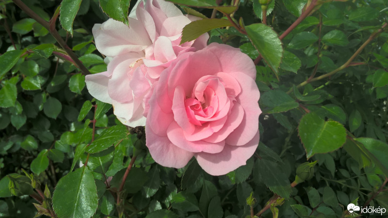 Budapest IX.ker - Ferencváros