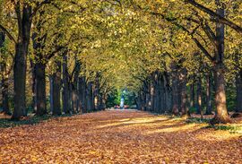 Gödöllő - Erzsébet park