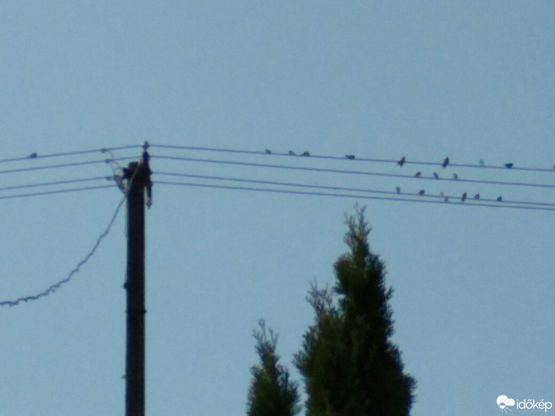 Észlelési fényképek