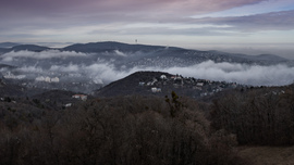 mikloslaszlo fotója