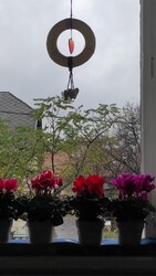 Budapest XIV.ker - Alsórákos