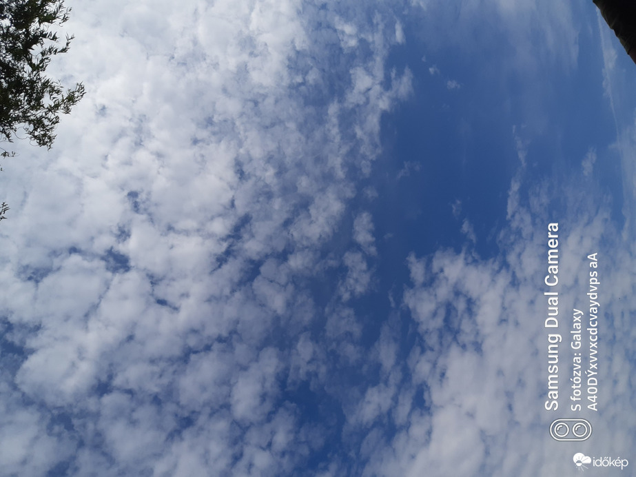 Észlelési fényképek