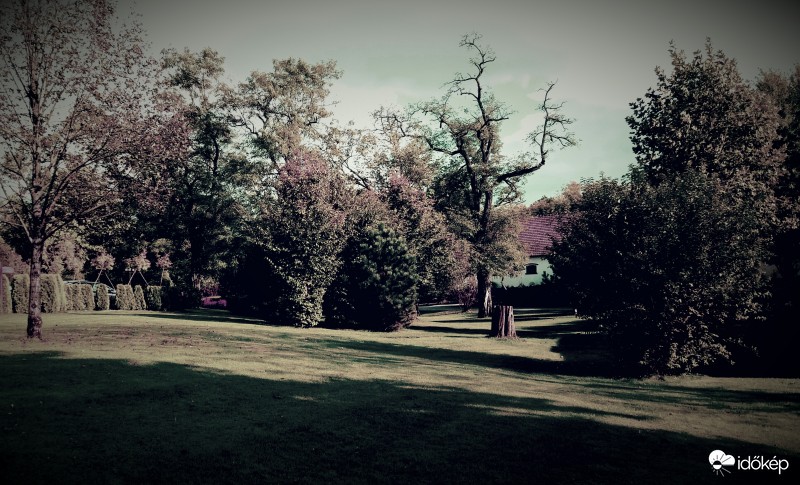 Ősz kicsit másképp 