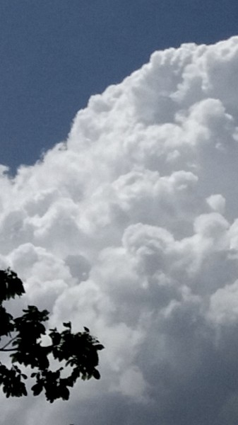 Magasra törő gomolyok