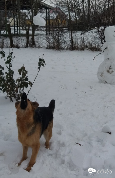 Elkapom a hógolyót