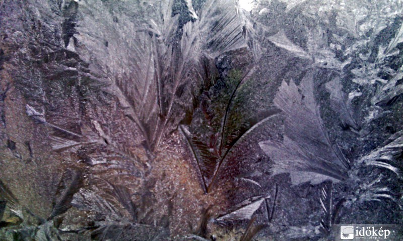 jégvirág nyílt...