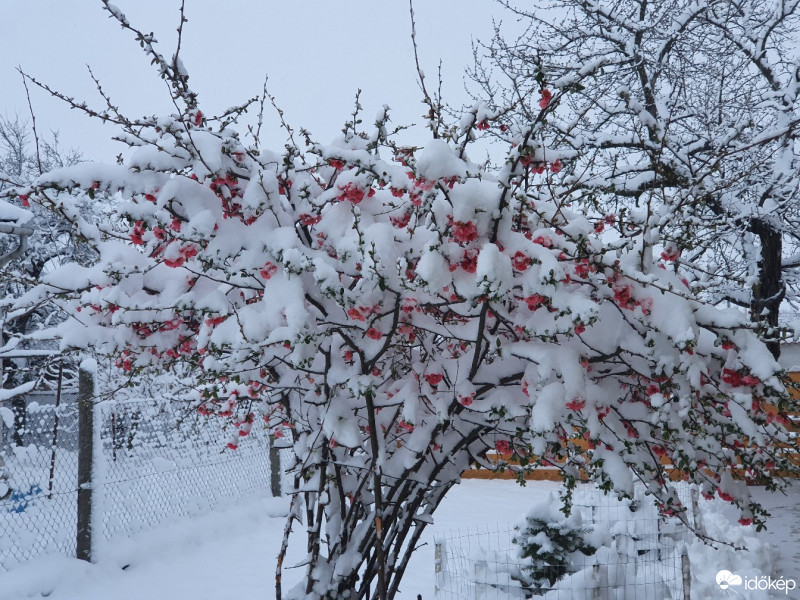 Észlelési fényképek