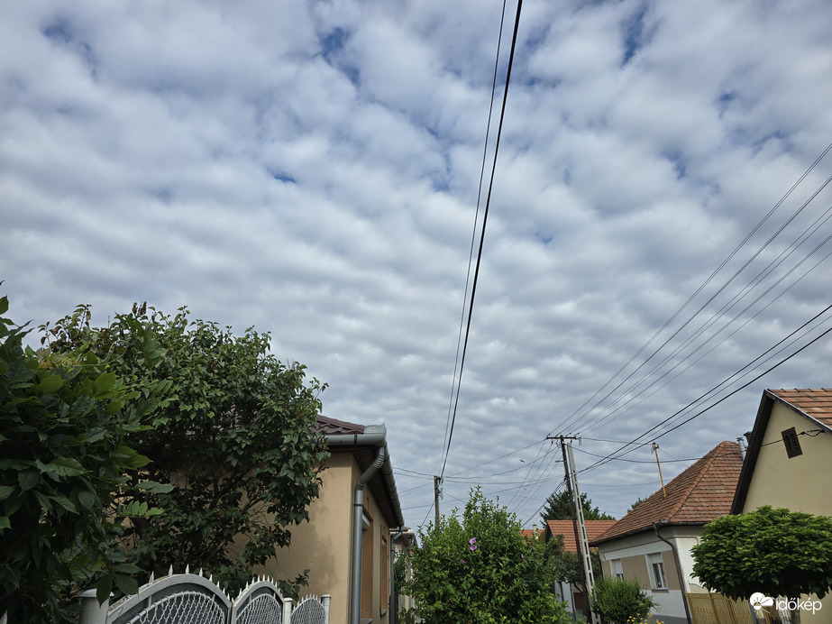 Észlelési fényképek