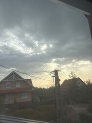 Paloznak
