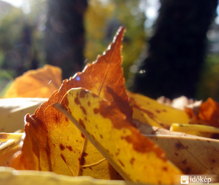 Itt van az ősz...