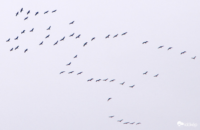 Darvak Kecskemét felett