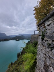 Bled