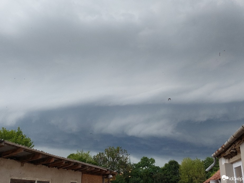 Észlelési fényképek