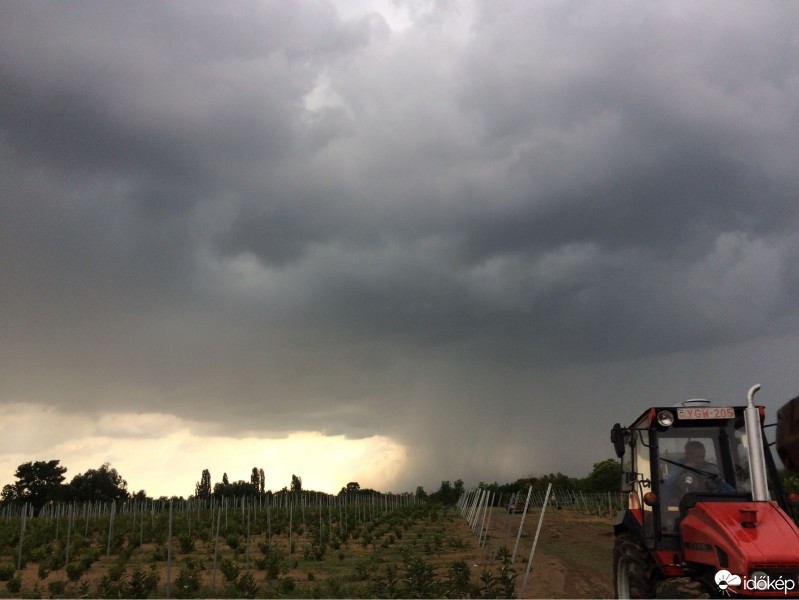 Észlelési fényképek