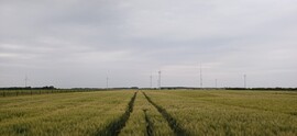 Ikervár