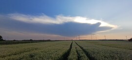 Ikervár