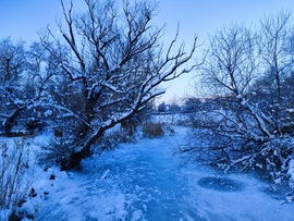 Befagyott a Kis-Duna-öböl