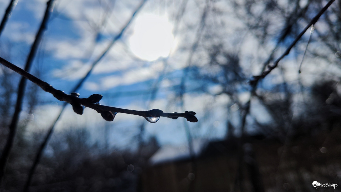 Egy cseppnyi tavasz