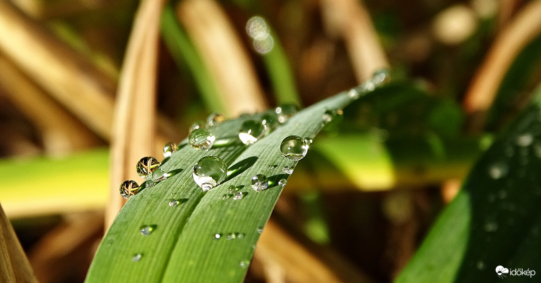 Eső után.