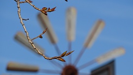 Szélkerék másképp!