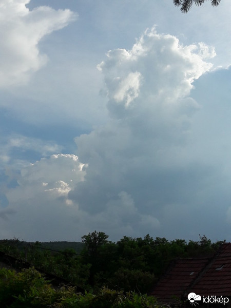 Észlelési fényképek