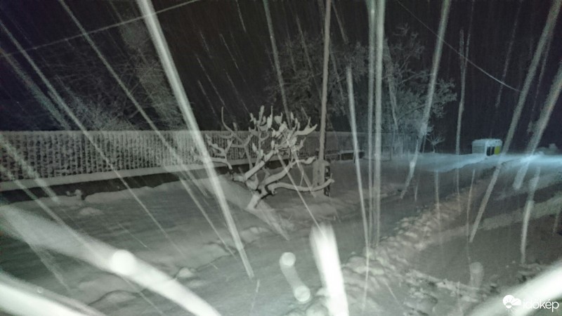 Észlelési fényképek