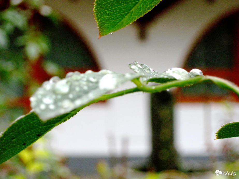 Jéggé fagy a vízcsepp