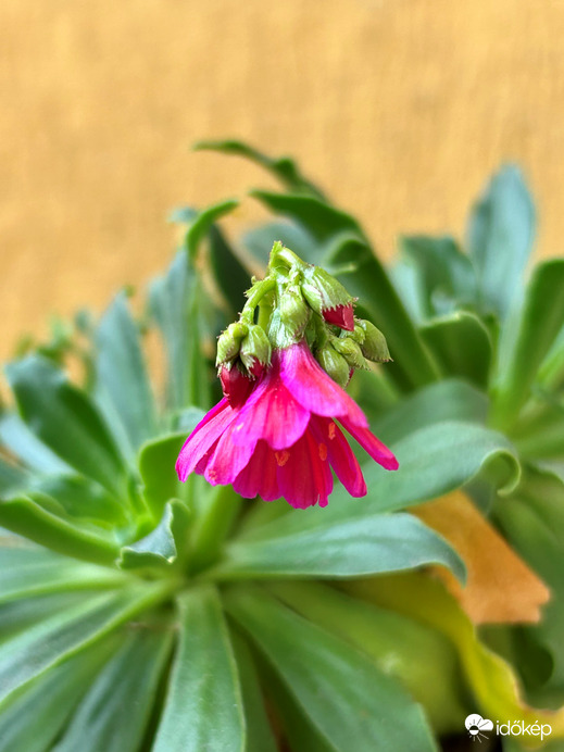 A hideg ölelésében