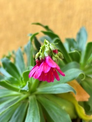 A hideg ölelésében