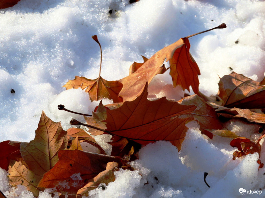 Átfedés: múlt és jelen