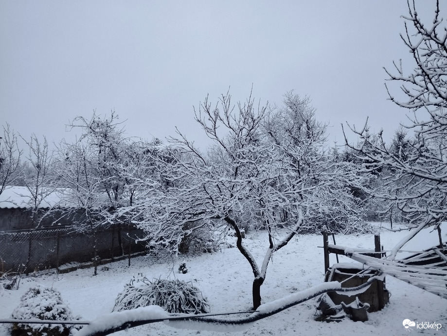 Észlelési fényképek