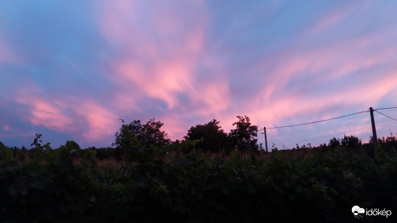 Észlelési fényképek