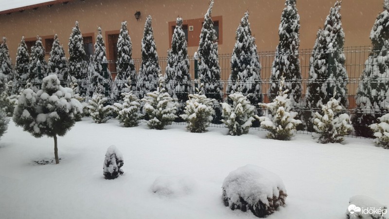 Észlelési fényképek