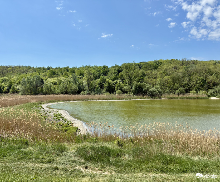 Természet