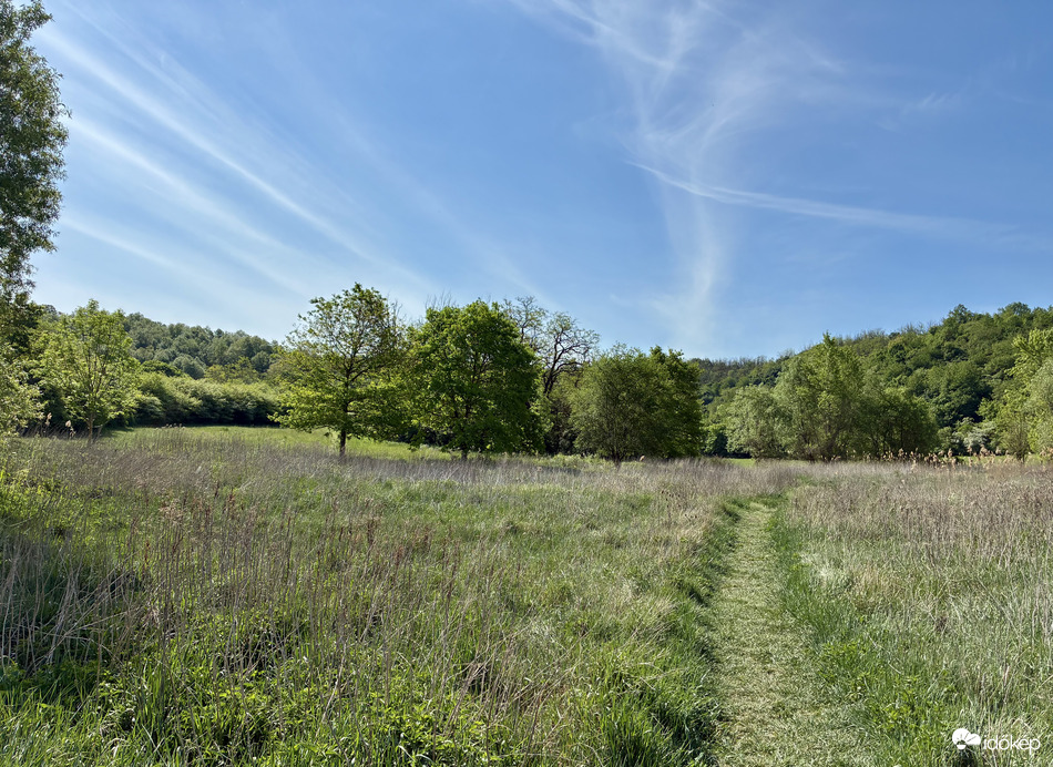 Természet