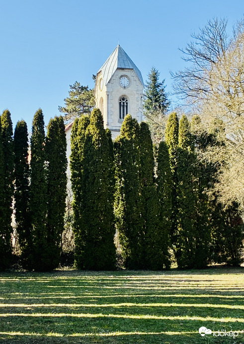 Alcsúti arborétumban