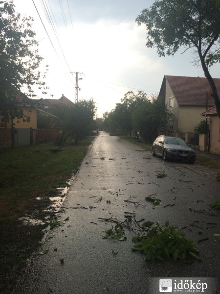 Észlelési fényképek